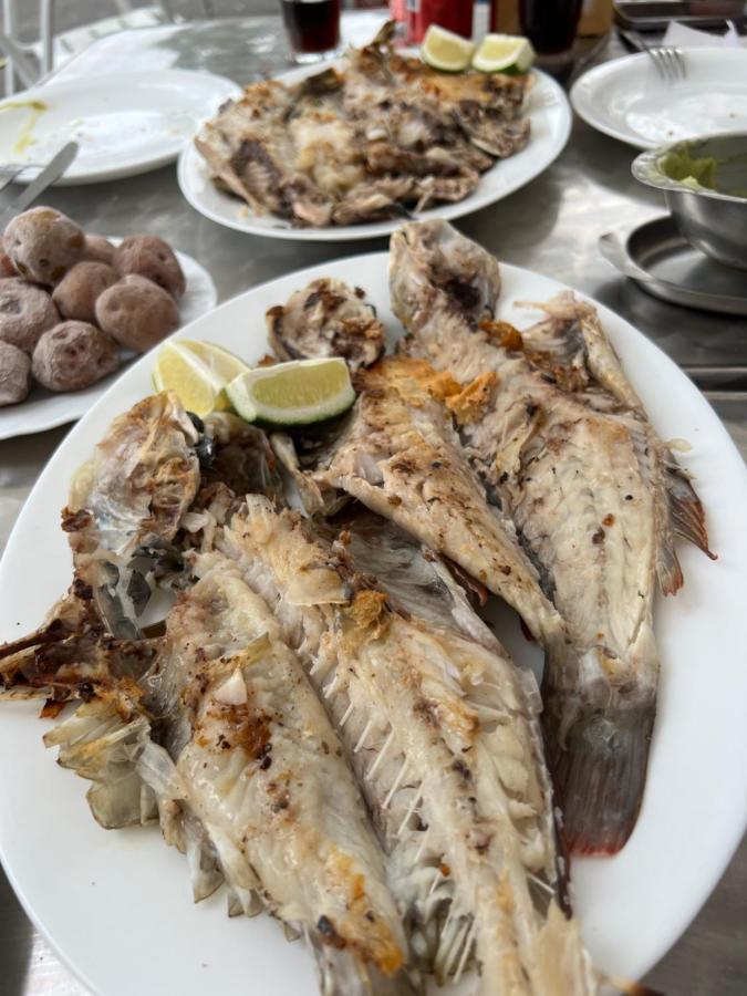 La Fula Beach Rooms El Pris 外观 照片